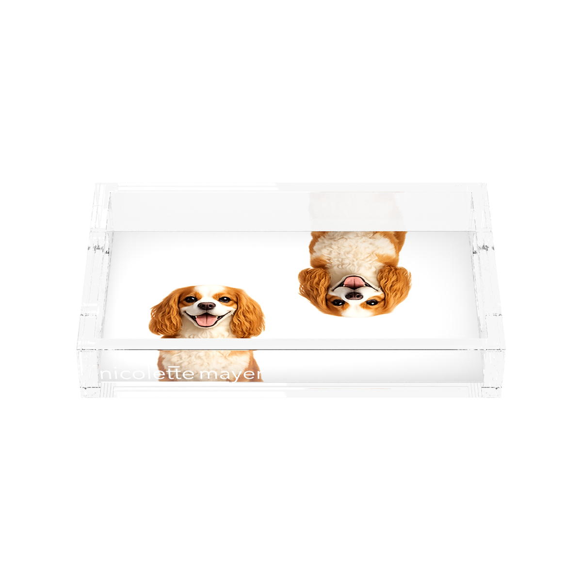 Cavalier King Charles Spaniel Dog Acrylic Rectangle Tray, front, by Nicolette Mayer