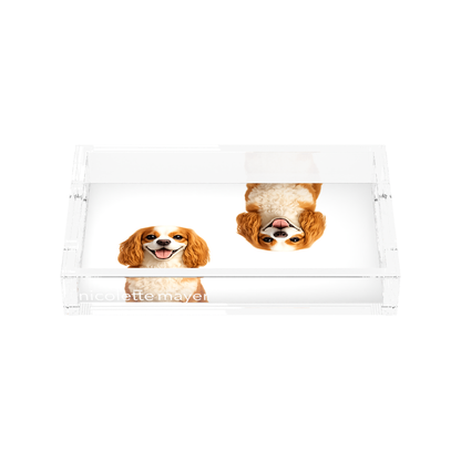 Cavalier King Charles Spaniel Dog Acrylic Rectangle Tray, front, by Nicolette Mayer