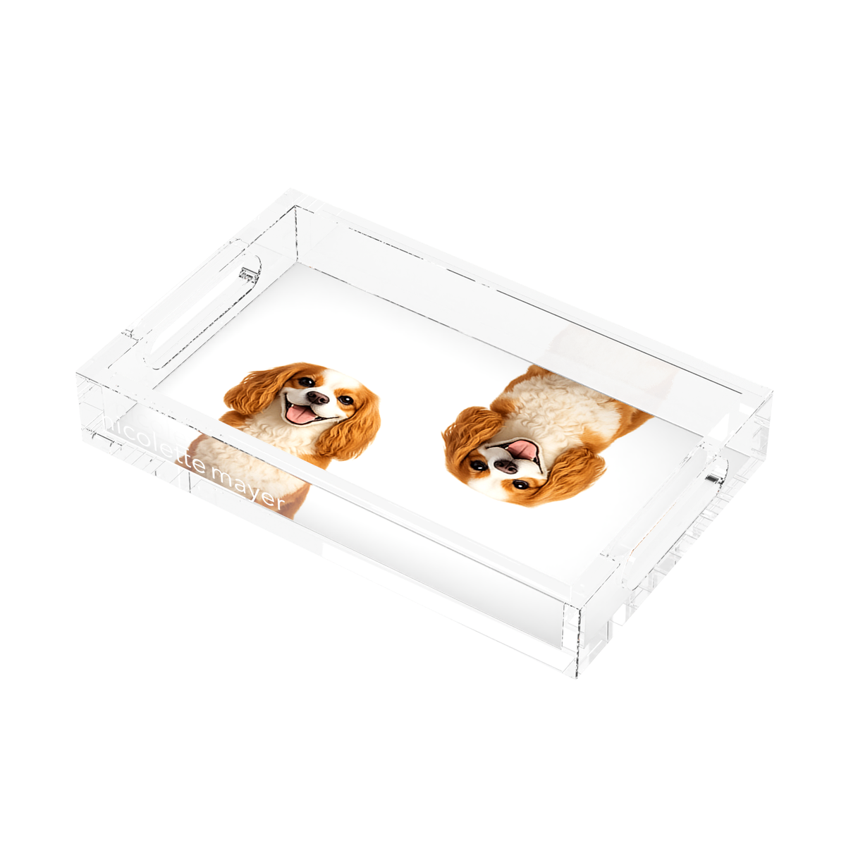 Cavalier King Charles Spaniel Dog Acrylic Rectangle Tray, right three-quarter, by Nicolette Mayer