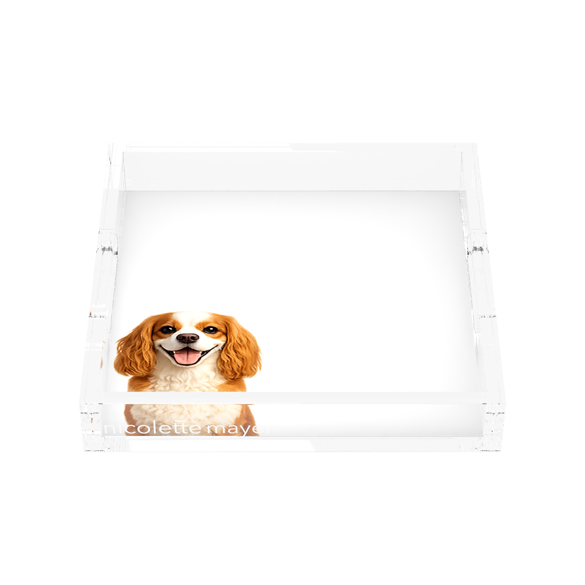 Cavalier King Charles Spaniel Dog Acrylic Decorative Tray, front, by Nicolette Mayer