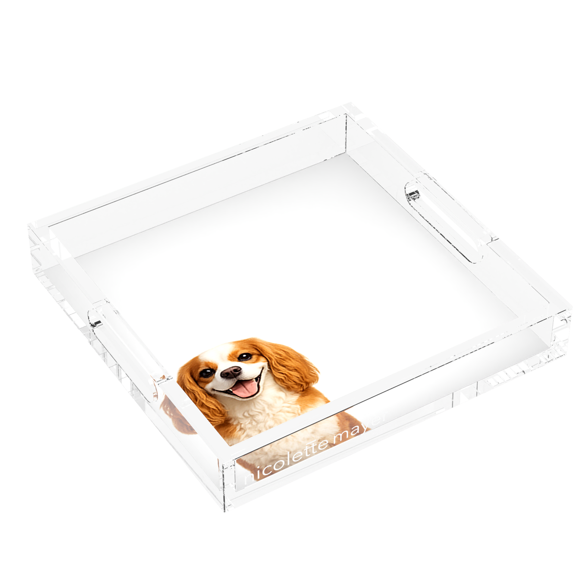 Cavalier King Charles Spaniel Dog Acrylic Decorative Tray, left three-quarter, by Nicolette Mayer