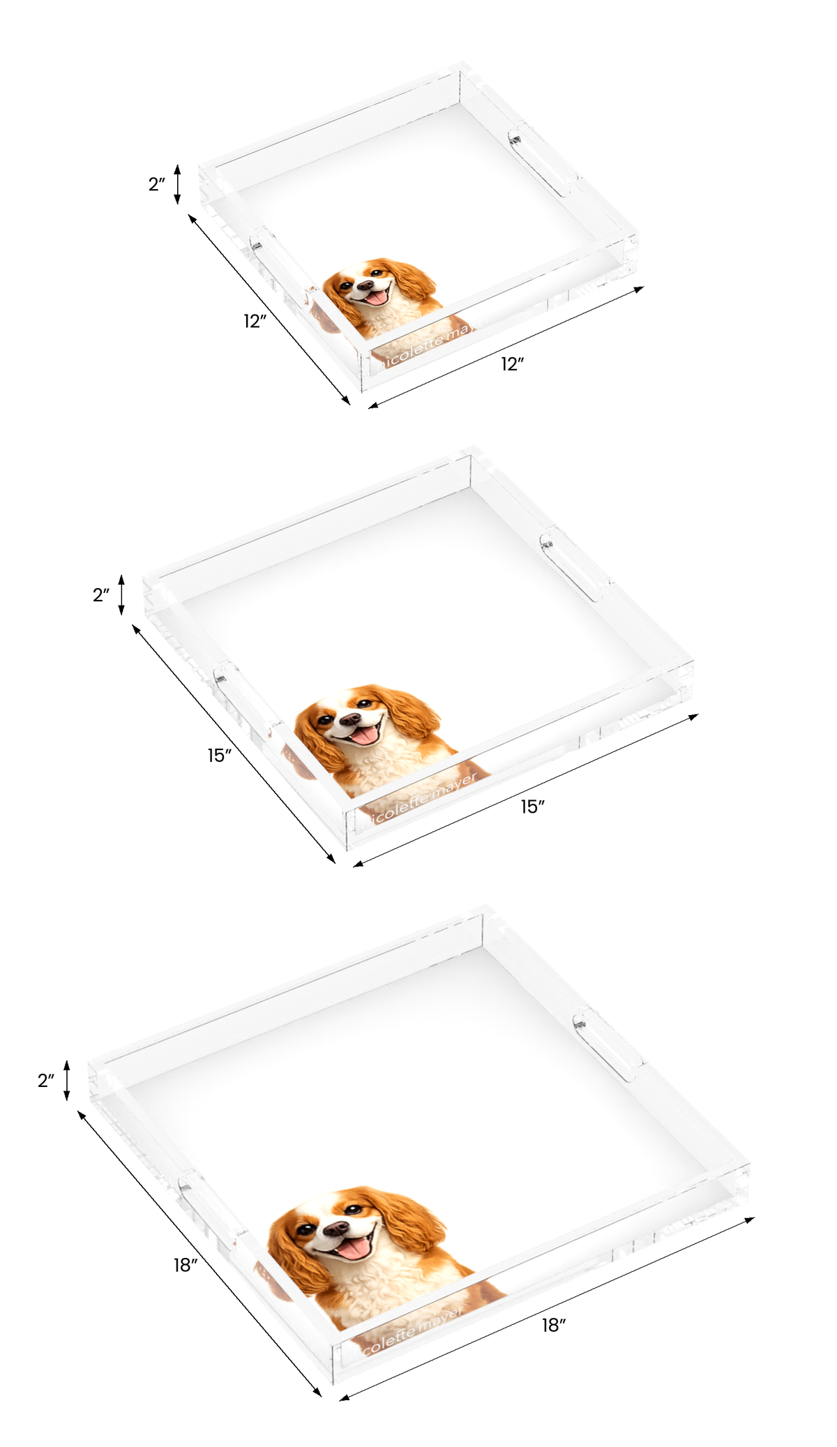 Cavalier King Charles Spaniel Dog Acrylic Decorative Tray, all three sizes, by Nicolette Mayer