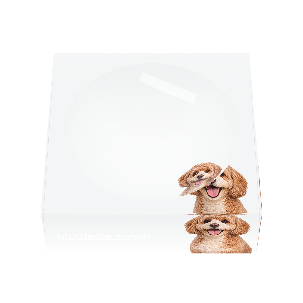 Cavapoo Dog Acrylic Candy Catchall Dish, front, by Nicolette Mayer