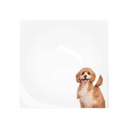 Cavapoo Dog Acrylic Candy Catchall Dish, overhead, by Nicolette Mayer
