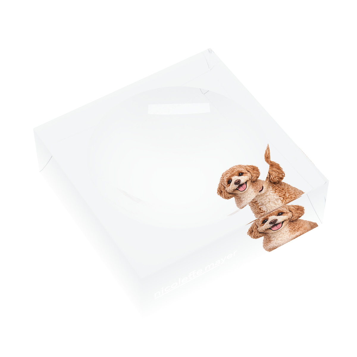Cavapoo Dog Acrylic Candy Catchall Dish, left three-quarter, by Nicolette Mayer
