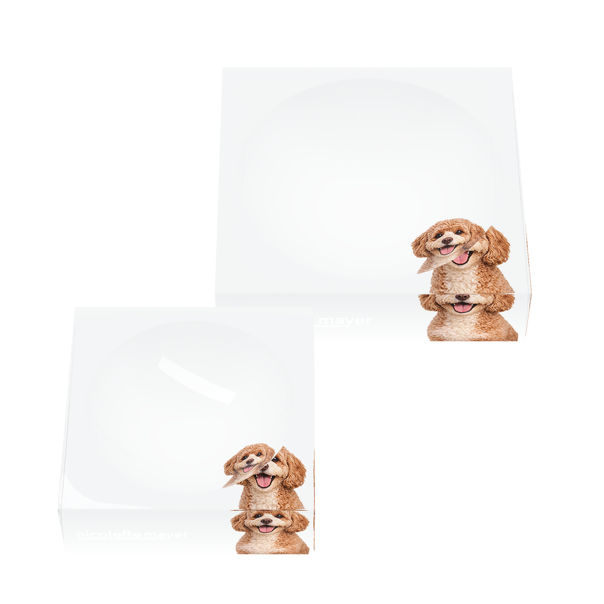 Cavapoo Dog Acrylic Candy Catchall Dish, set of two, by Nicolette Mayer
