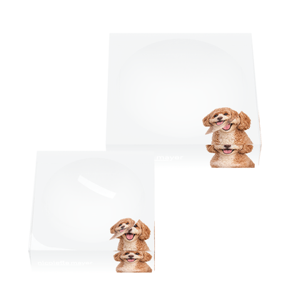 Cavapoo Dog Acrylic Candy Catchall Dish, set of two, by Nicolette Mayer