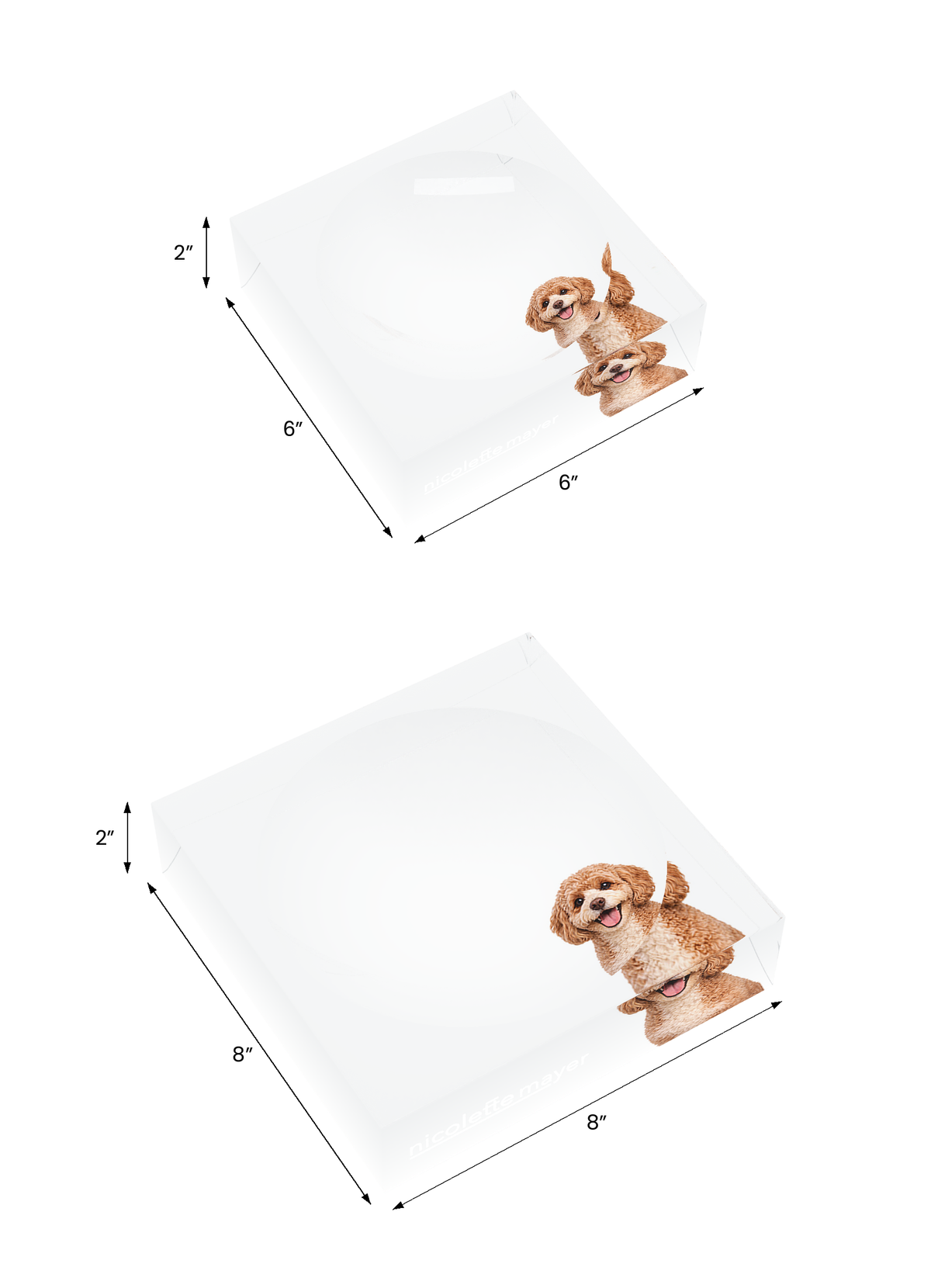 Cavapoo Dog Acrylic Candy Catchall Dish, both sizes, by Nicolette Mayer