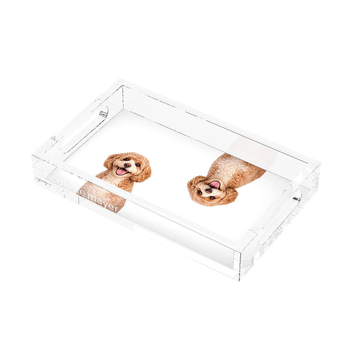 Cavapoo Dog Acrylic Rectangle Tray, right three-quarter, by Nicolette Mayer