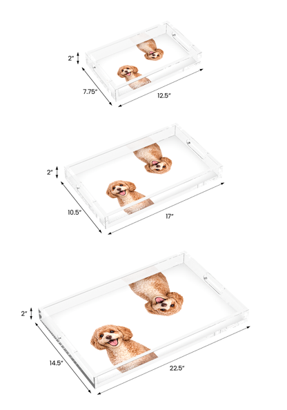 Cavapoo Dog Acrylic Rectangle Tray, all three sizes, by Nicolette Mayer
