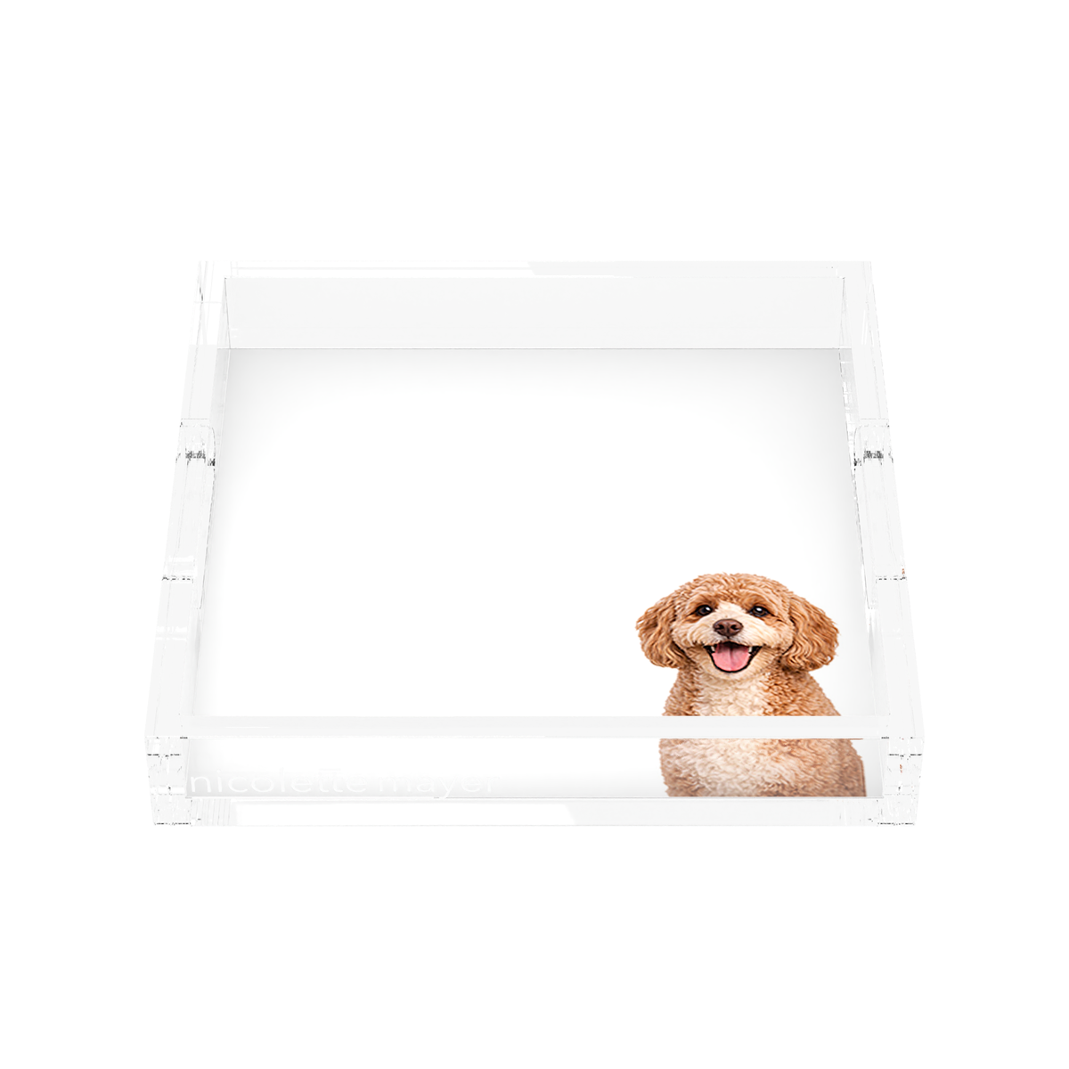 Cavapoo Dog Acrylic Decorative Tray, front, by Nicolette Mayer