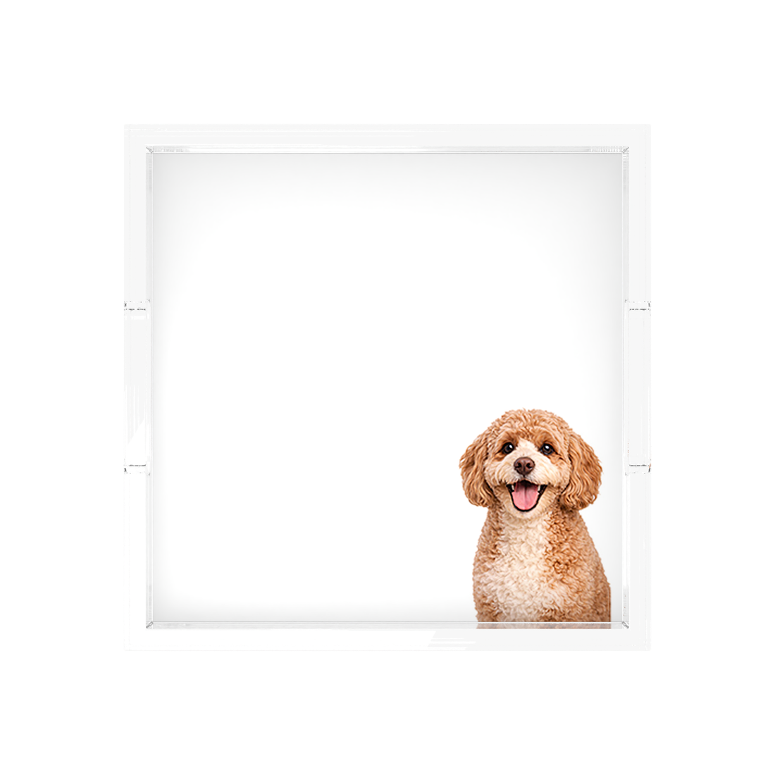 Cavapoo Dog Acrylic Decorative Tray, 12 x 12 in., 15 x 15 in., 18 x 18 in. by Nicolette Mayer