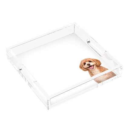 Cavapoo Dog Acrylic Decorative Tray, left three-quarter, by Nicolette Mayer