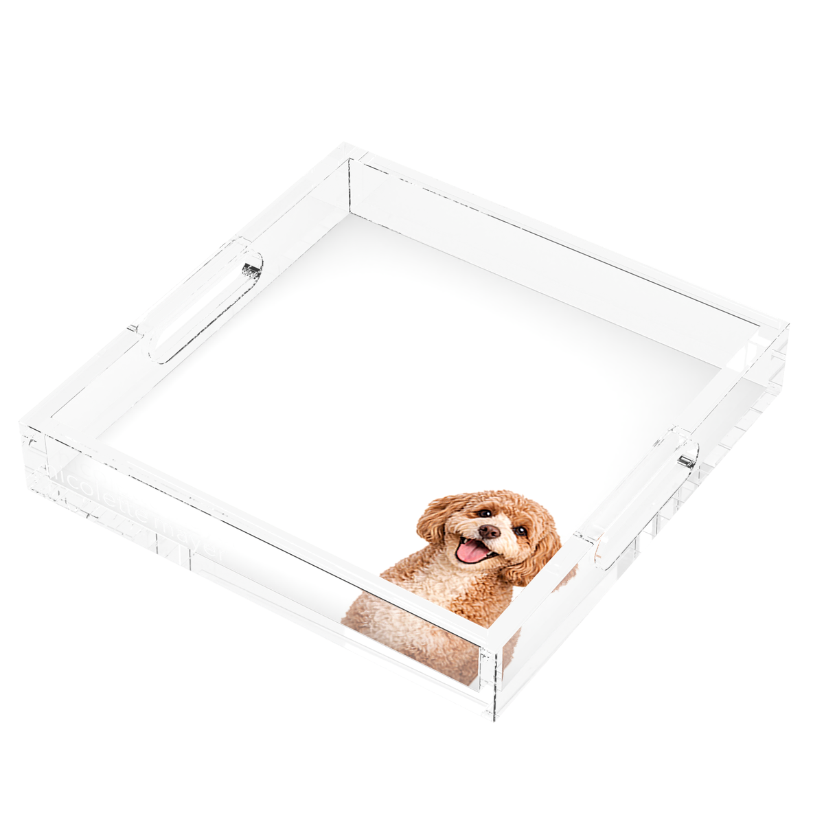Cavapoo Dog Acrylic Decorative Tray, right three-quarter, by Nicolette Mayer