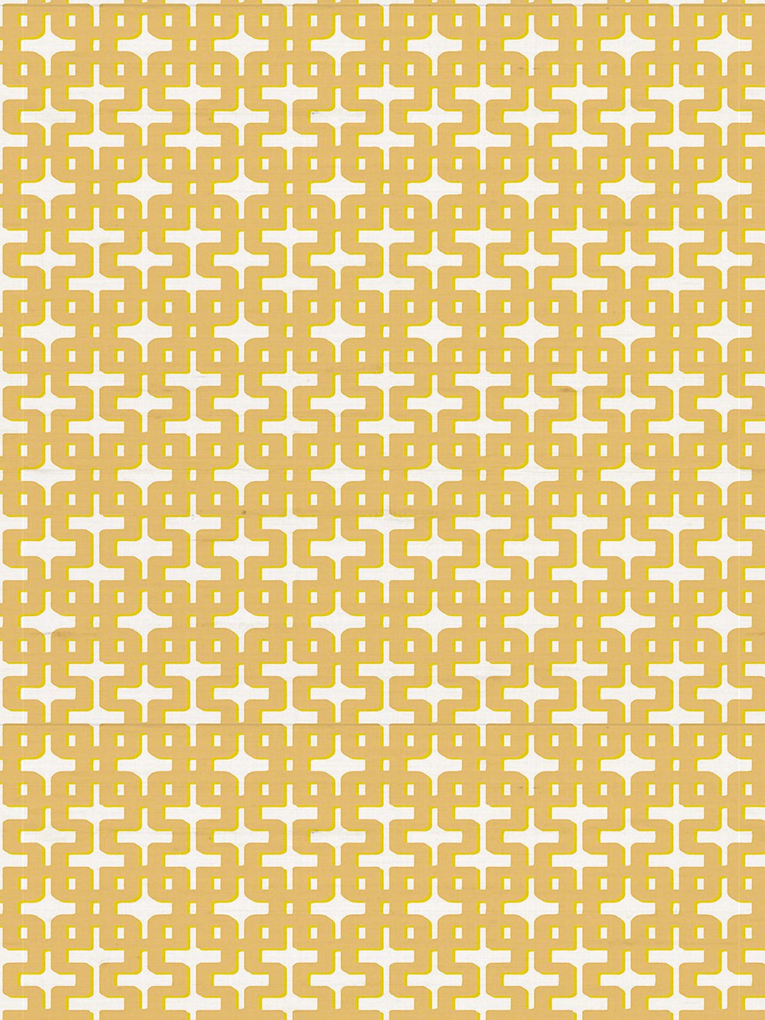 Chiang Mai Zoso Wallpaper - nicolettemayer.com