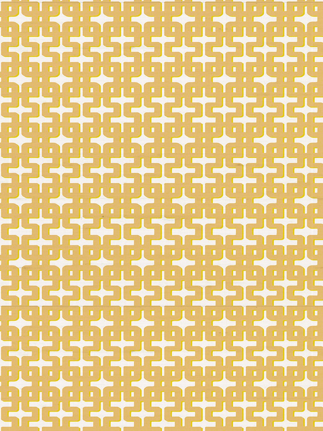 Chiang Mai Zoso Wallpaper - nicolettemayer.com