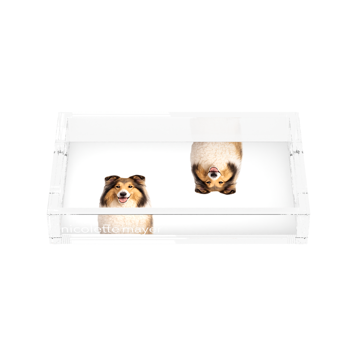 Collie Dog Acrylic Rectangle Tray, front, by Nicolette Mayer