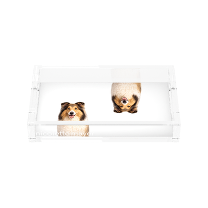 Collie Dog Acrylic Rectangle Tray, front, by Nicolette Mayer