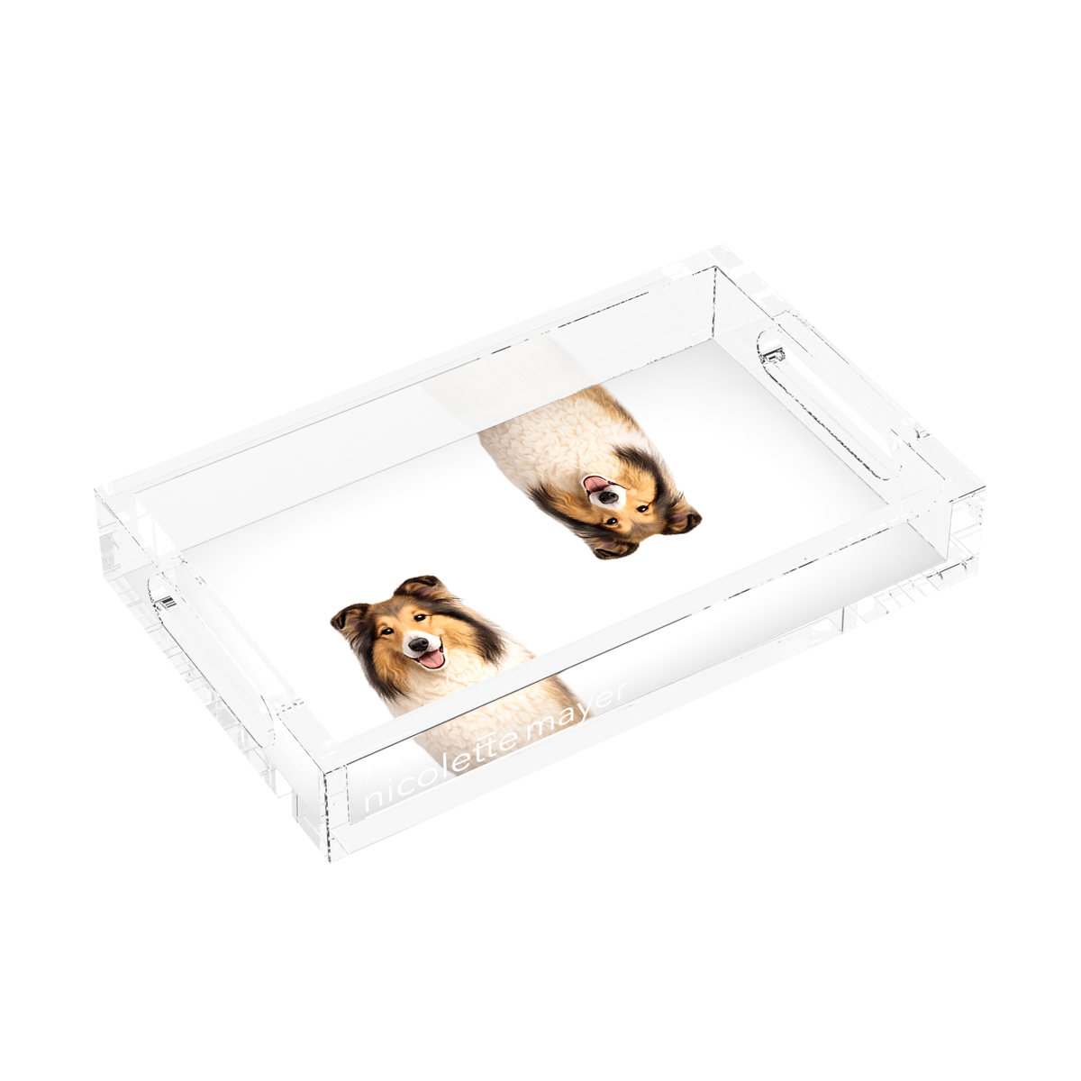 Collie Dog Acrylic Rectangle Tray, left three-quarter, by Nicolette Mayer