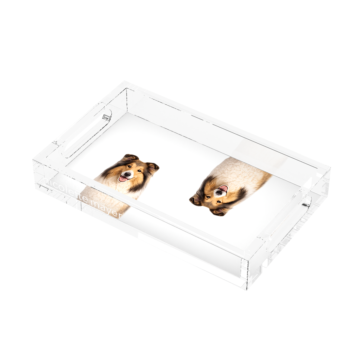 Collie Dog Acrylic Rectangle Tray, right three-quarter, by Nicolette Mayer