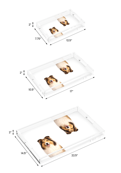 Collie Dog Acrylic Rectangle Tray, all three sizes, by Nicolette Mayer