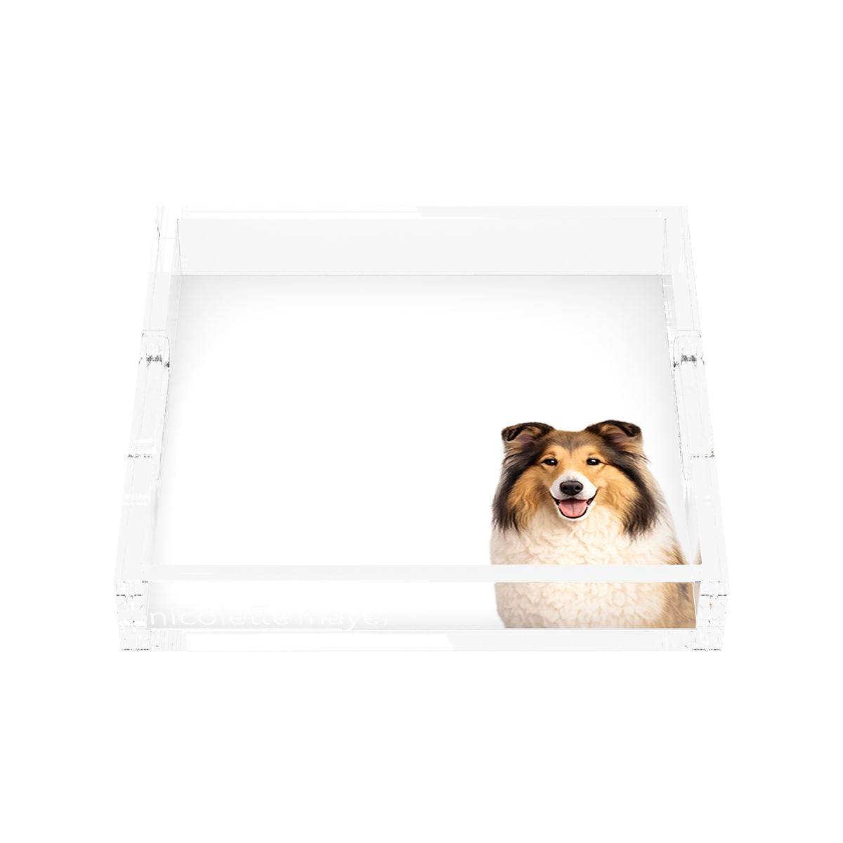 Collie Dog Acrylic Decorative Tray, front, by Nicolette Mayer