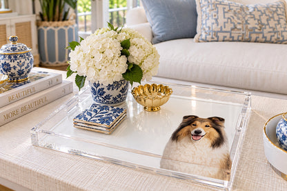 Collie Dog Acrylic Decorative Tray, on a coffee table, by Nicolette Mayer