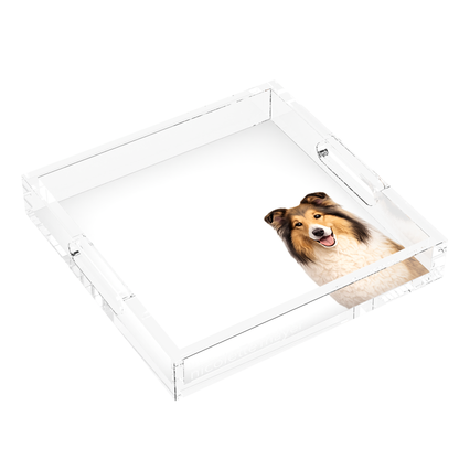 Collie Dog Acrylic Decorative Tray, left three-quarter, by Nicolette Mayer