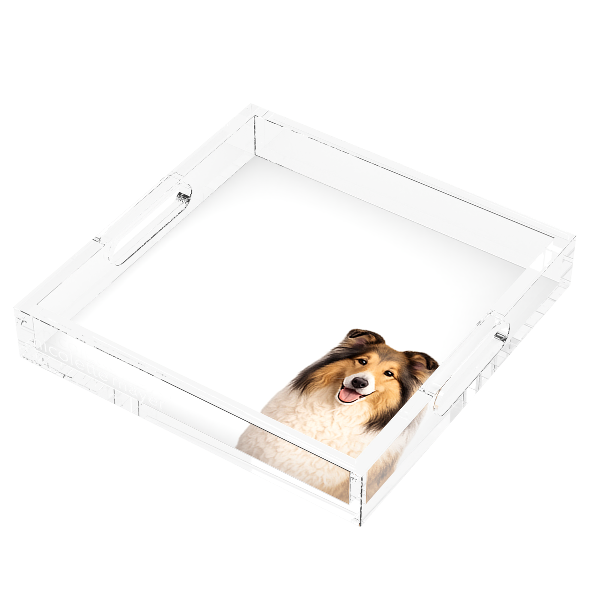 Collie Dog Acrylic Decorative Tray, right three-quarter, by Nicolette Mayer