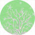 Coral Reef Colony 16 Round Pebble Placemat Set of 4 - nicolettemayer.com