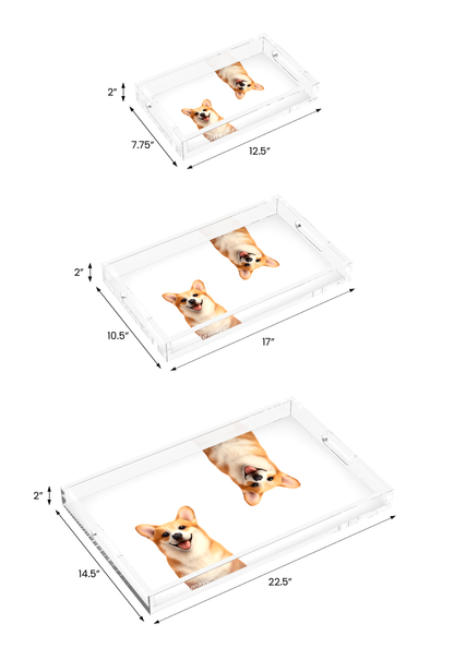 Corgi Dog Acrylic Rectangle Tray, all three sizes, by Nicolette Mayer