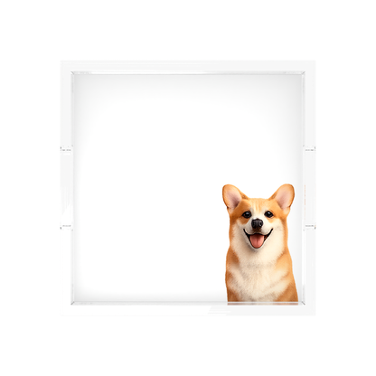 Corgi Dog Acrylic Decorative Tray, overhead, by Nicolette Mayer