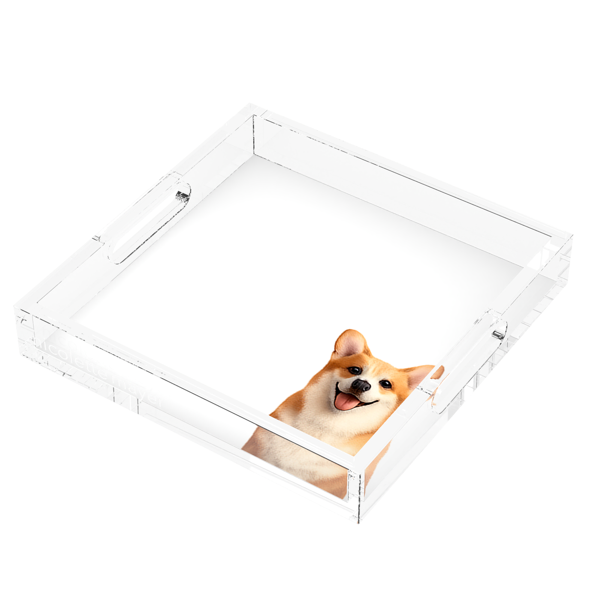 Corgi Dog Acrylic Decorative Tray, right three-quarter, by Nicolette Mayer