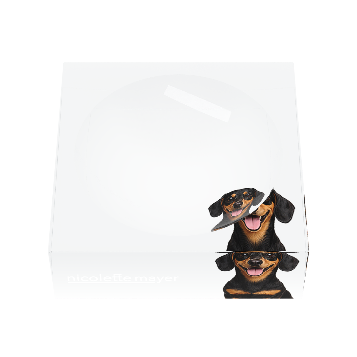 Dachshund Dog Acrylic Candy Catchall Dish, front, by Nicolette Mayer