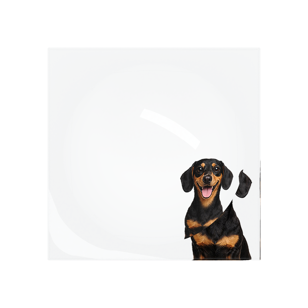 Dachshund Dog Acrylic Candy Catchall Dish, overhead, by Nicolette Mayer