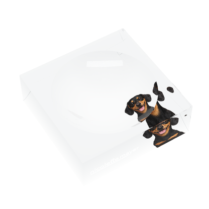 Dachshund Dog Acrylic Candy Catchall Dish, left three-quarter, by Nicolette Mayer