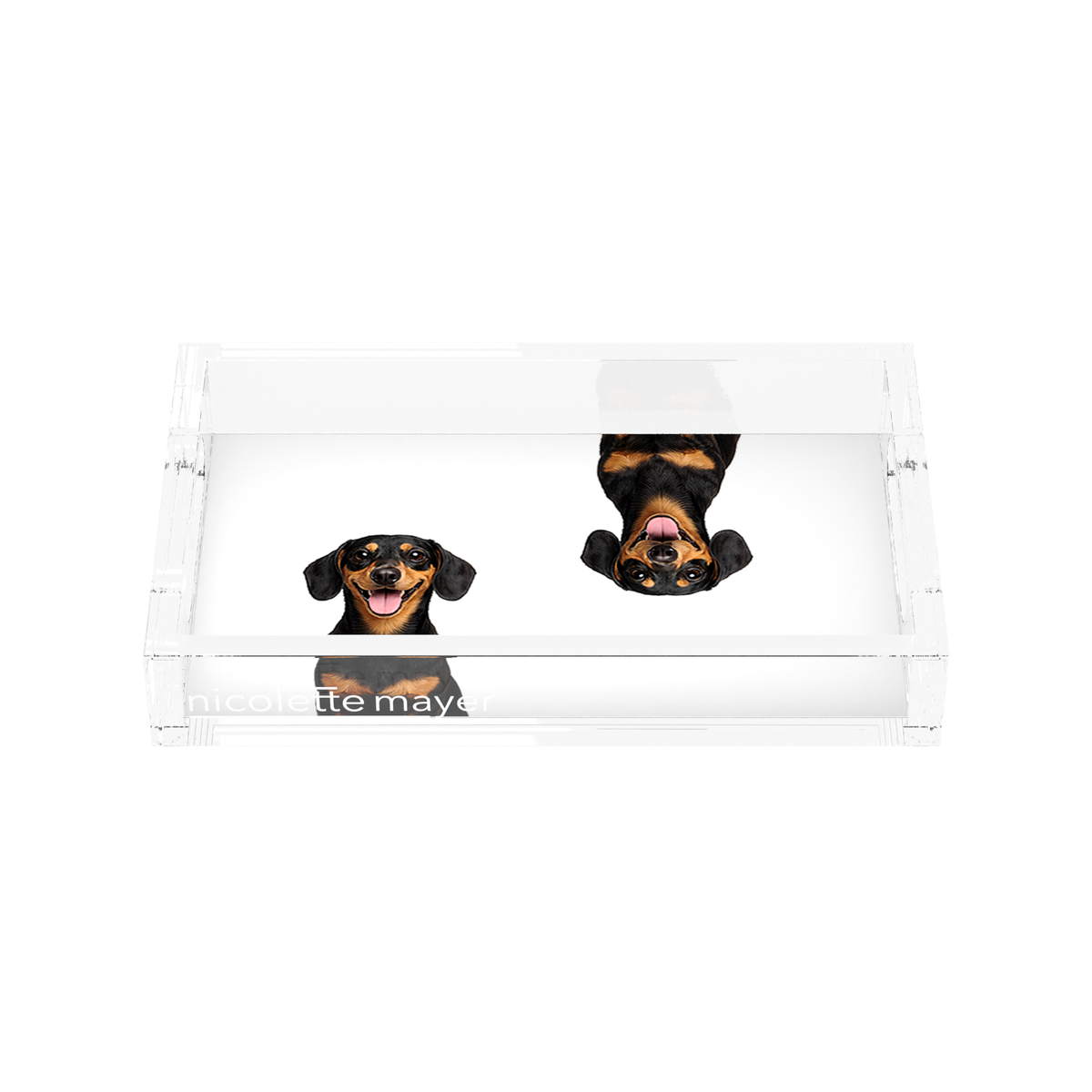 Dachshund Dog Acrylic Rectangle Tray, front, by Nicolette Mayer