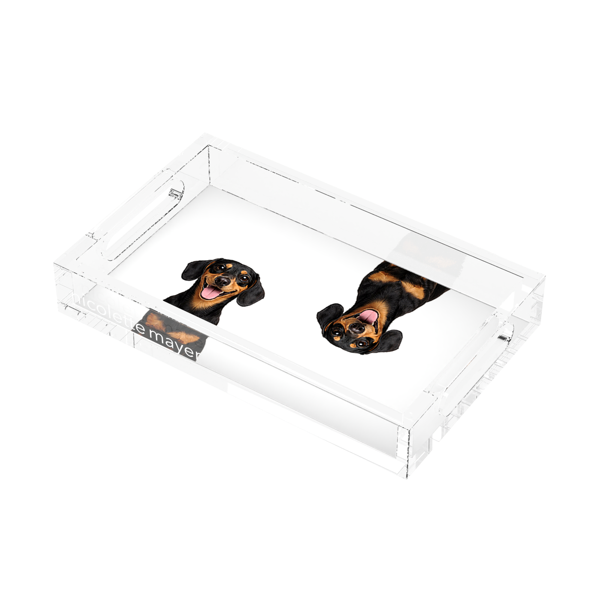 Dachshund Dog Acrylic Rectangle Tray, right three-quarter, by Nicolette Mayer