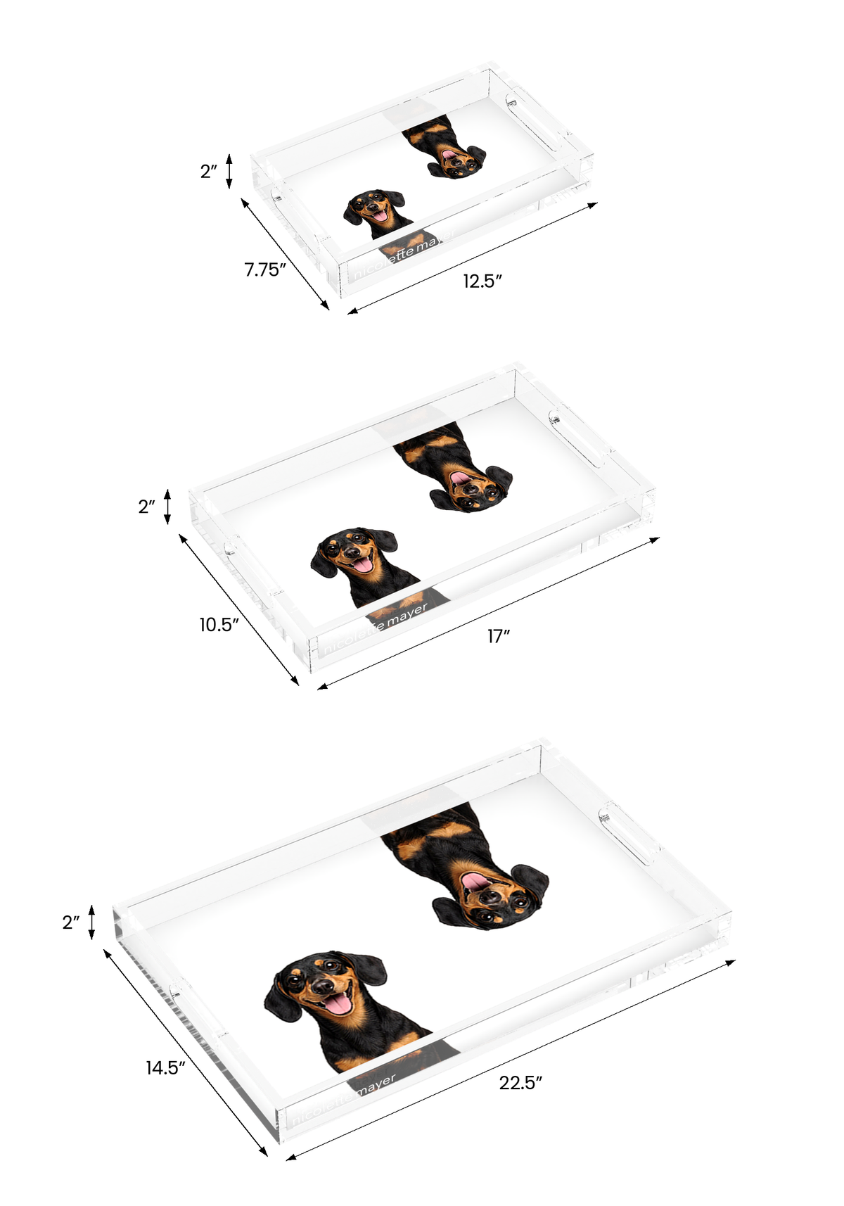 Dachshund Dog Acrylic Rectangle Tray, all three sizes, by Nicolette Mayer