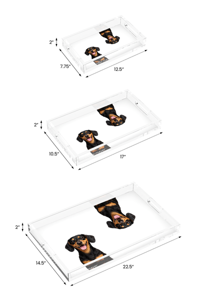 Dachshund Dog Acrylic Rectangle Tray, all three sizes, by Nicolette Mayer