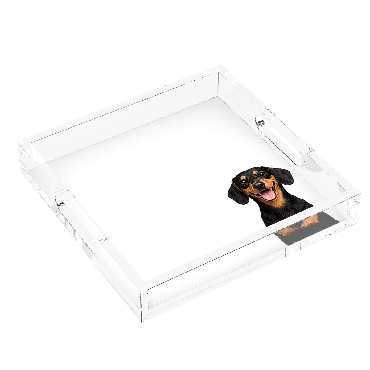 Dachshund Dog Acrylic Decorative Tray, left three-quarter, by Nicolette Mayer