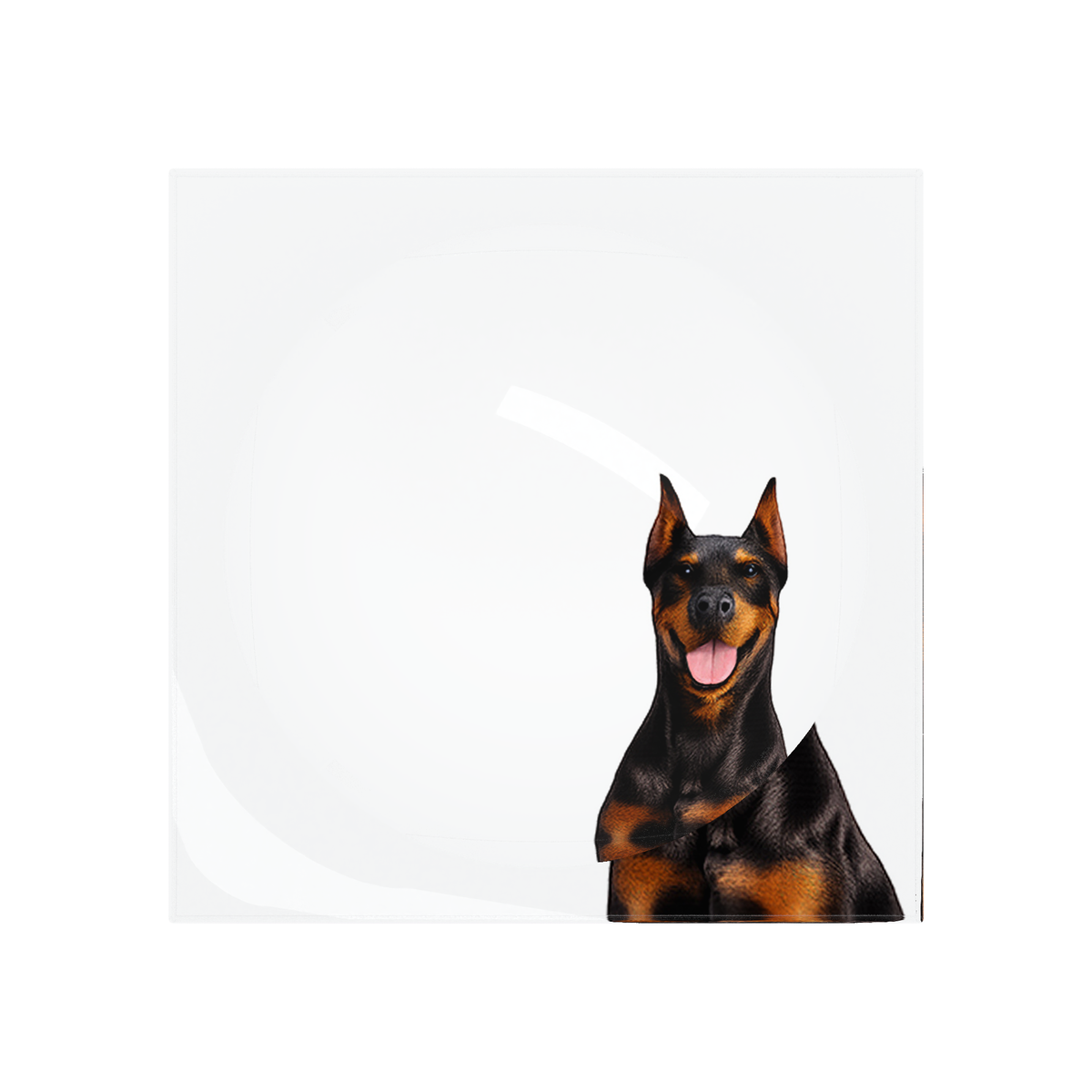 Doberman Dog Acrylic Candy Catchall Dish, overhead, by Nicolette Mayer