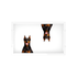 Doberman Dog Acrylic Rectangle Tray, overhead, by Nicolette Mayer