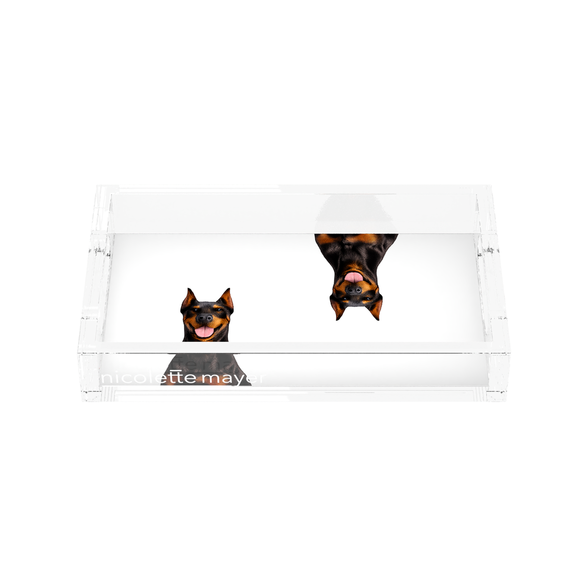 Doberman Dog Acrylic Rectangle Tray, front, by Nicolette Mayer