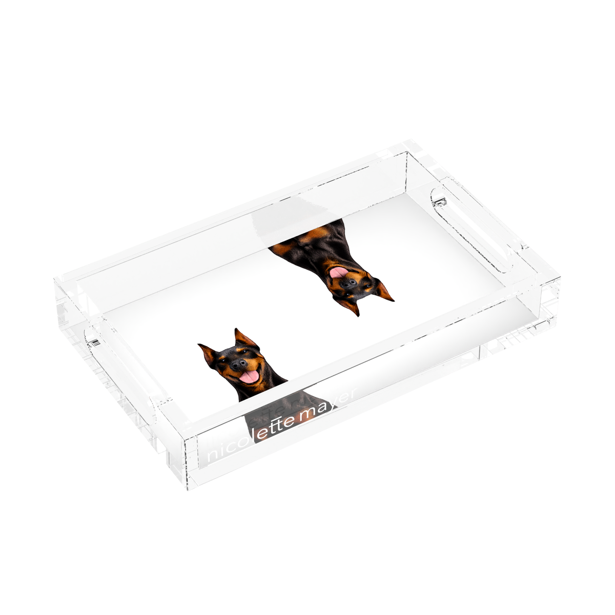 Doberman Dog Acrylic Rectangle Tray, left three-quarter, by Nicolette Mayer