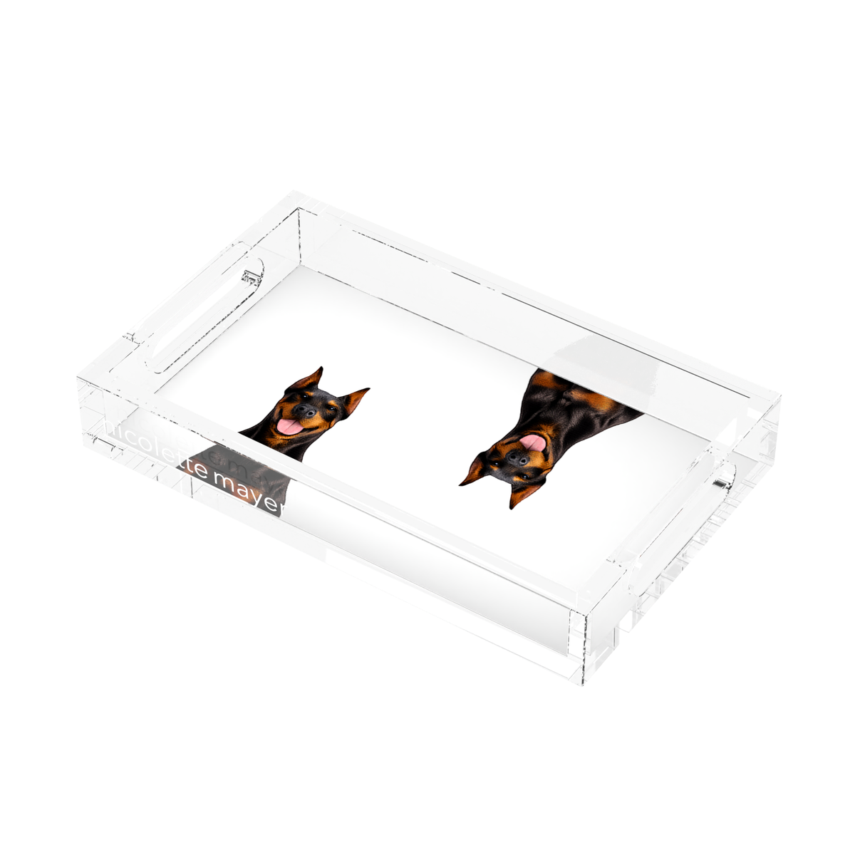 Doberman Dog Acrylic Rectangle Tray, right three-quarter, by Nicolette Mayer