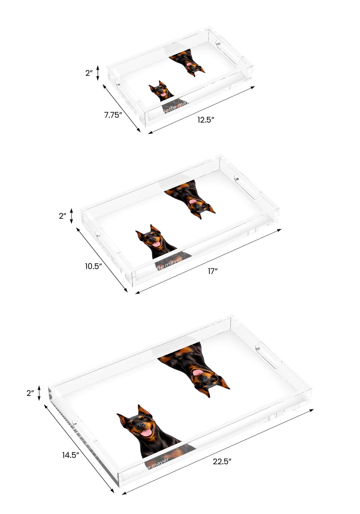 Doberman Dog Acrylic Rectangle Tray, all three sizes, by Nicolette Mayer