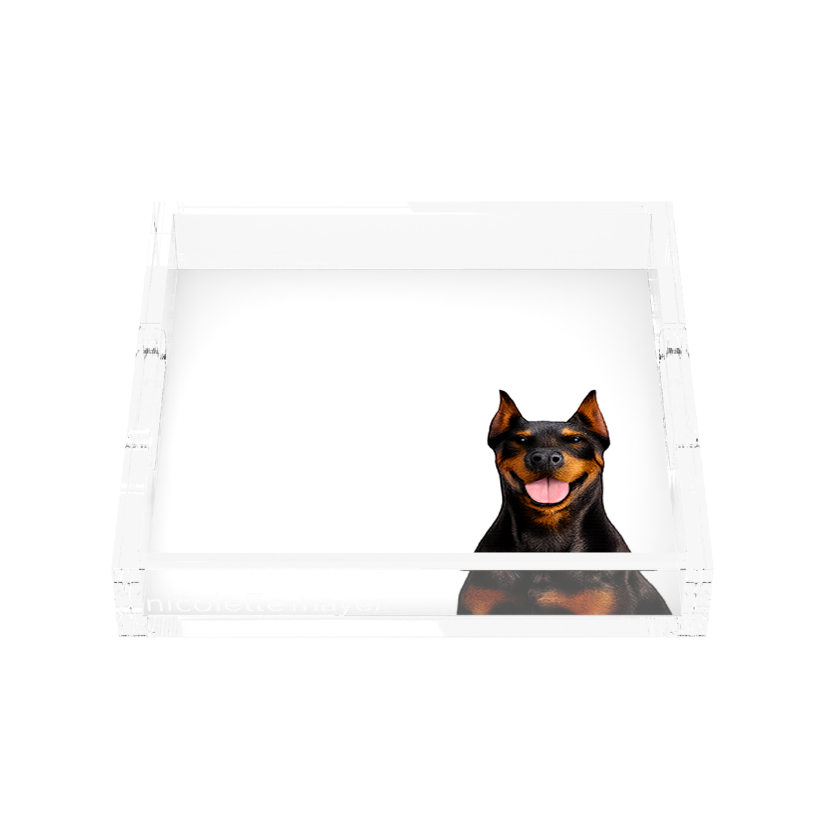 Doberman Dog Acrylic Decorative Tray, front, by Nicolette Mayer