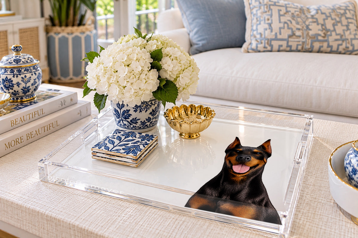 Doberman Dog Acrylic Decorative Tray, on a coffee table, by Nicolette Mayer