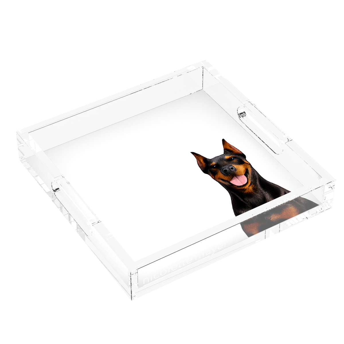 Doberman Dog Acrylic Decorative Tray, left three-quarter, by Nicolette Mayer